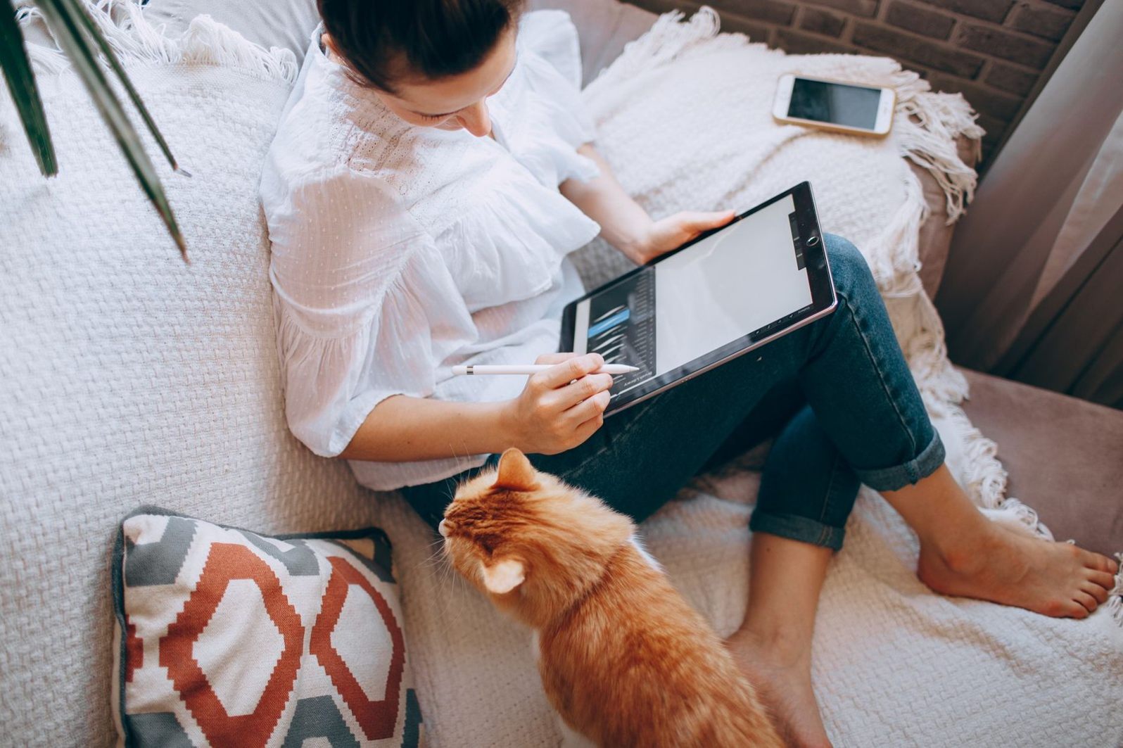 Pet Select キャットラウンジ｜猫用ハンモックが2,300円に値下がり、前回より1,680円安いのイメージ写真